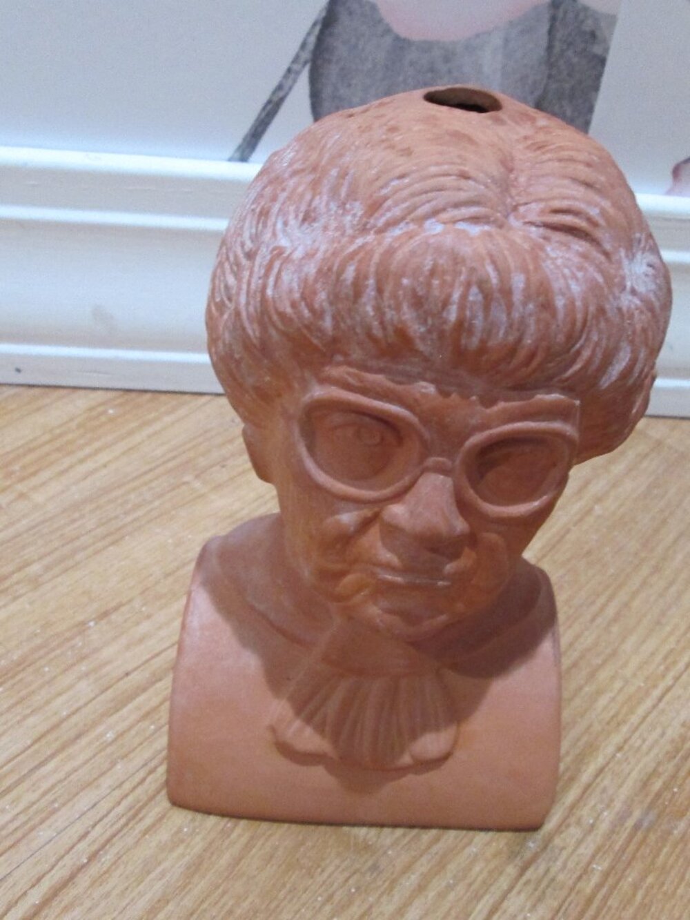 Sophia from Golden girls Chia Pet ,other chia's available!!!